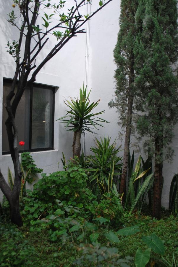 Casa en Centro Histórico Villa San Luis Potosí Exterior foto